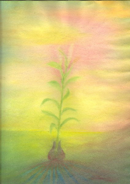 05-plante-danielle